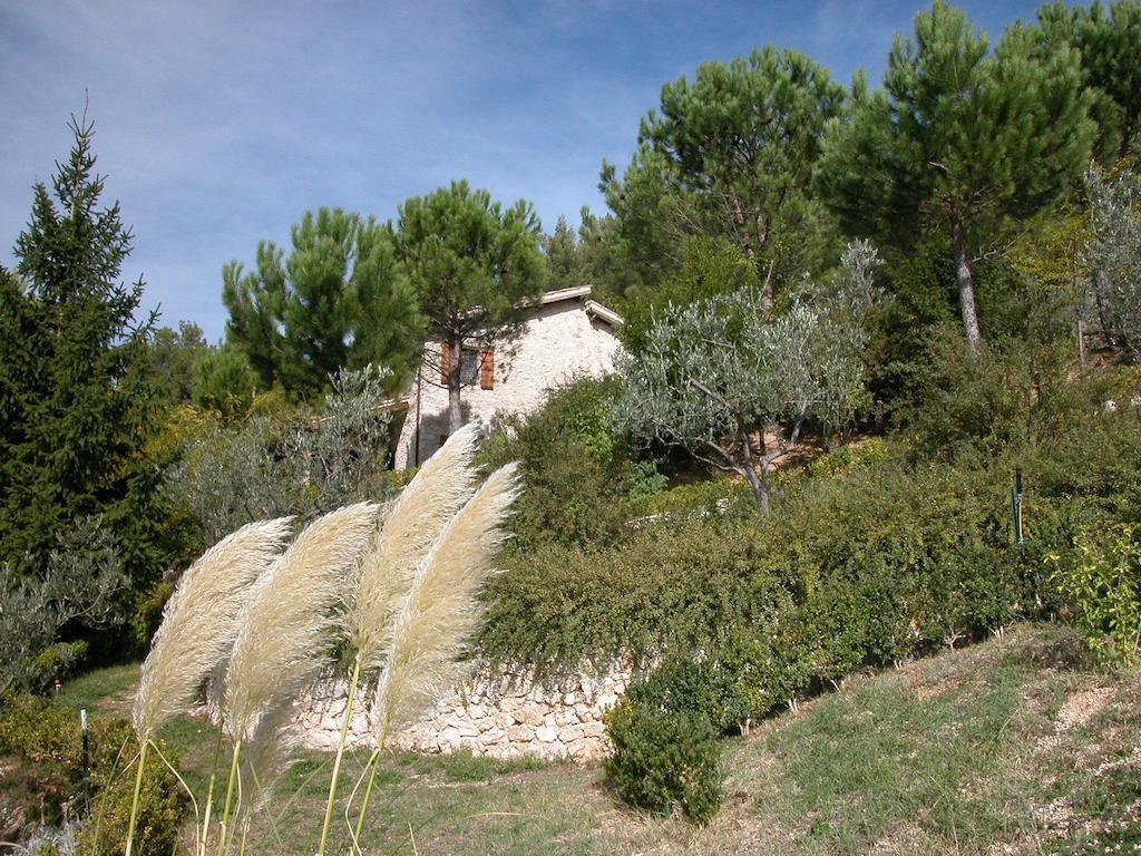 Agriturismo Istrice Innamorato كامبيلو سول كليتونو المظهر الخارجي الصورة